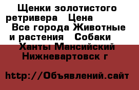 Щенки золотистого ретривера › Цена ­ 15 000 - Все города Животные и растения » Собаки   . Ханты-Мансийский,Нижневартовск г.